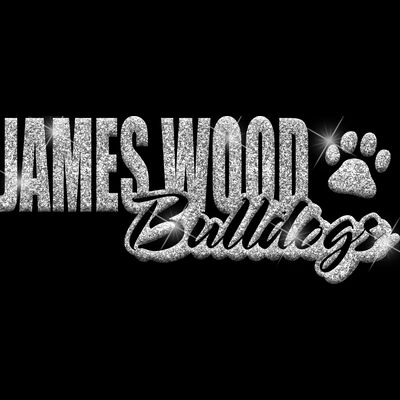 GLT1 SILVER GLITTER Thumbnail